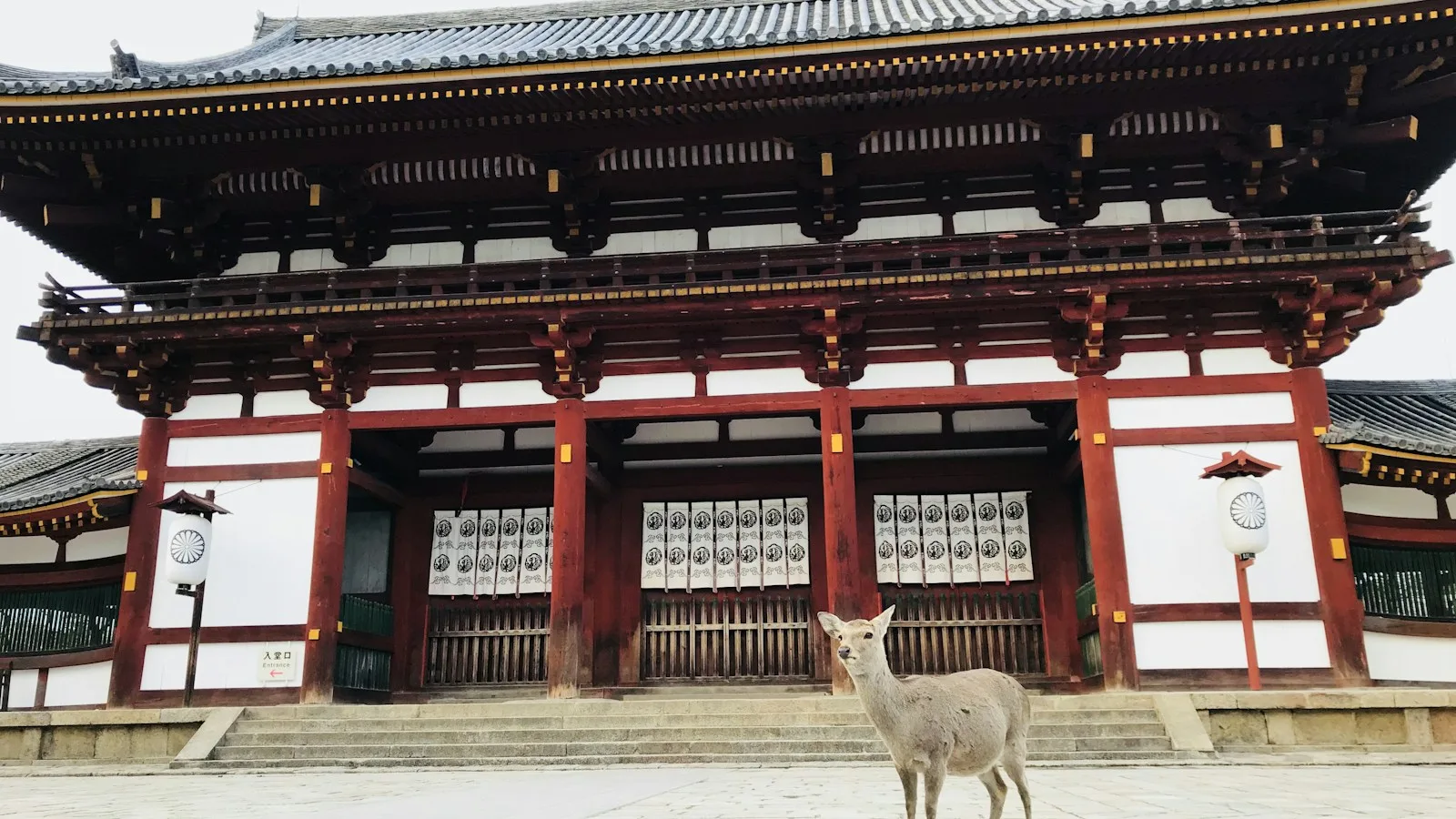 Jours 7 à 9 : Kyoto et Nara avec les enfants