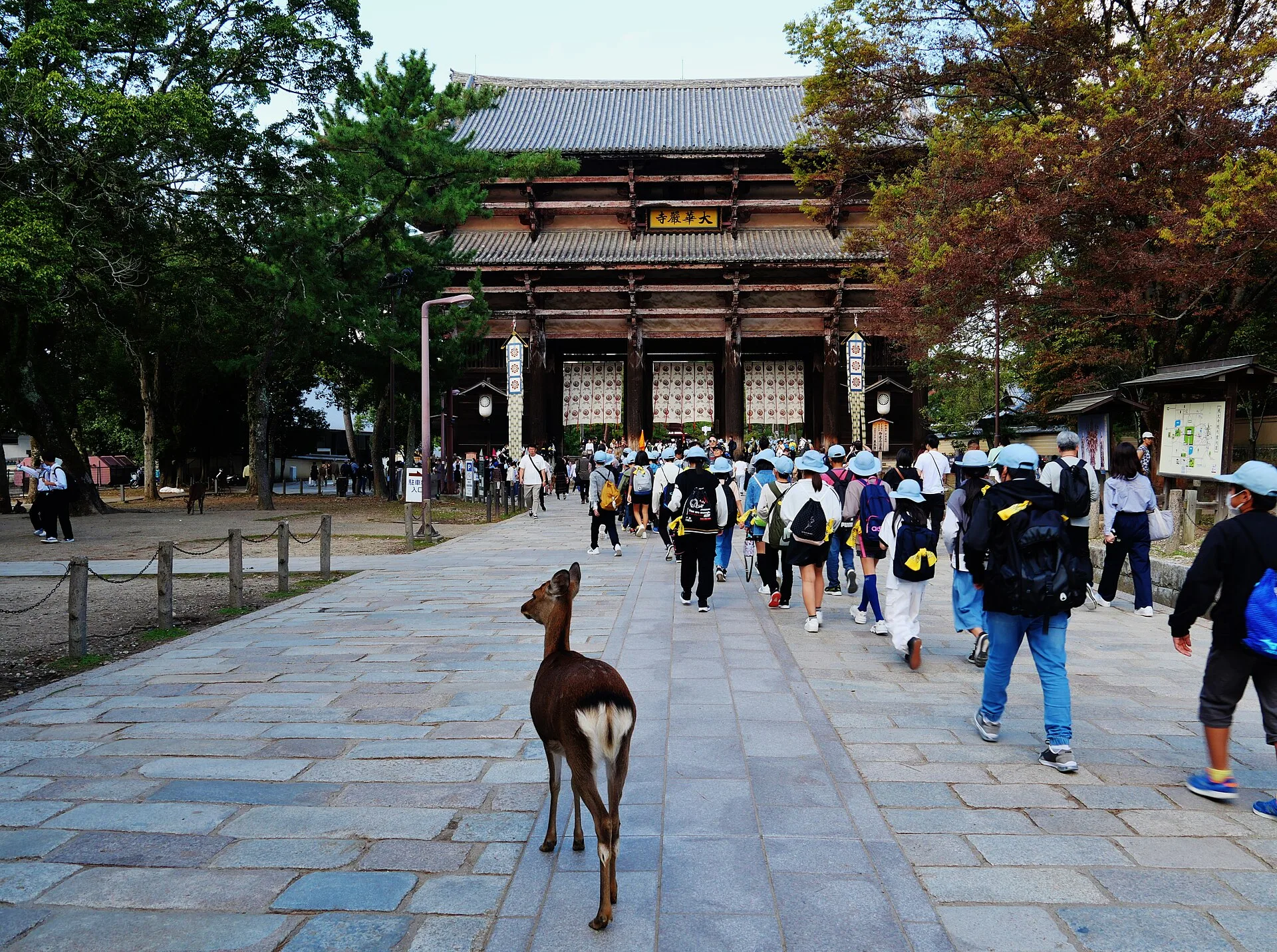 Jour 4 : Nara le matin, Osaka l'après-midi