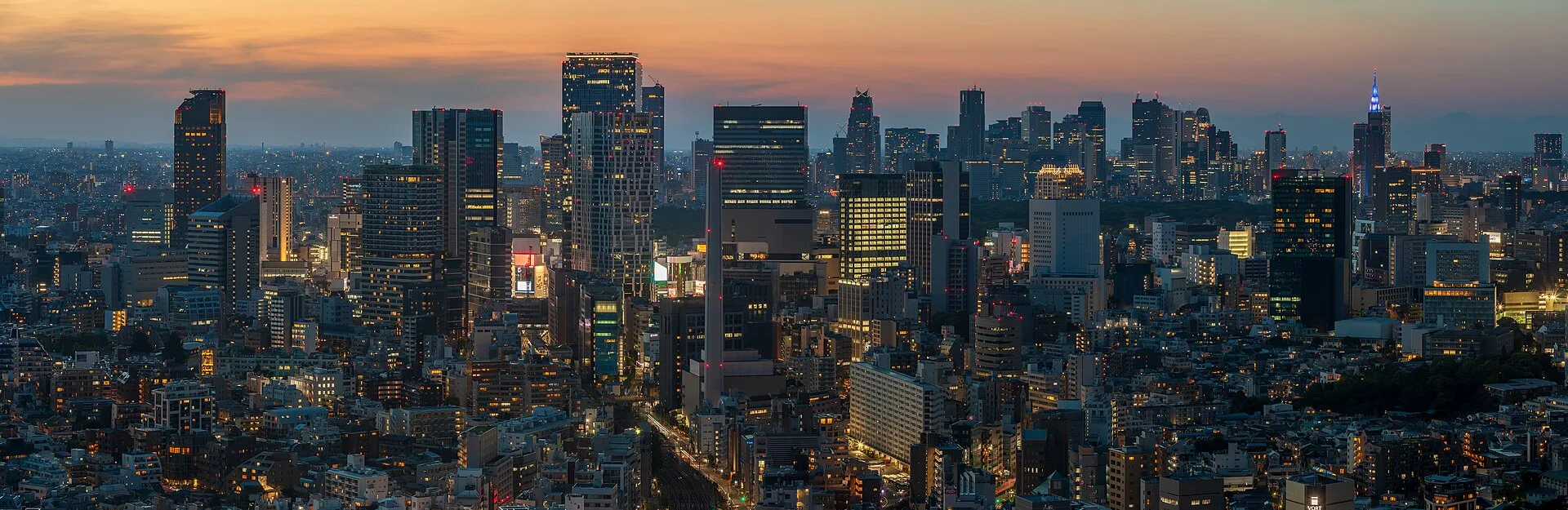 Shinjuku : le choix pratique pour un premier séjour