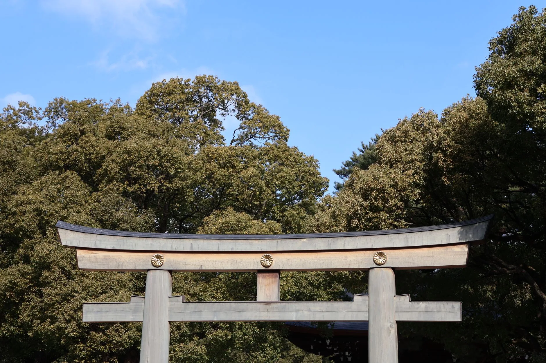 Meiji Jingū : une parenthèse de calme en pleine ville